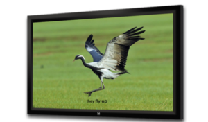 JK-F9 119-JK Fixed Frame Screen, 119″, 16:9 Aspect Ratio, Matt White Fabric